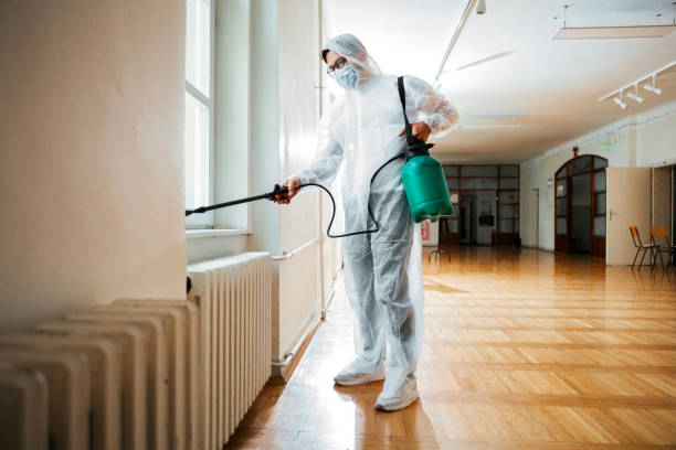 Real Estate Pest Inspections in Monson Center, MA